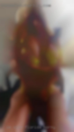 I'm slim, sexy curious Florida horny lady.